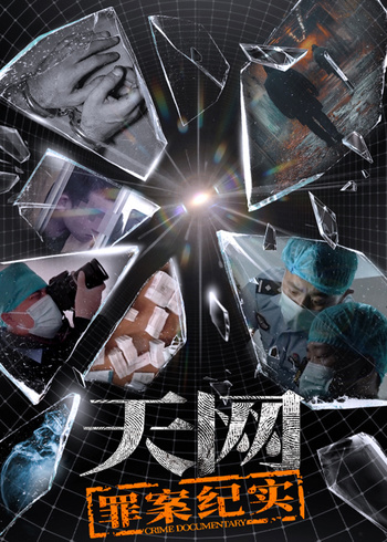 天网：罪案纪实}