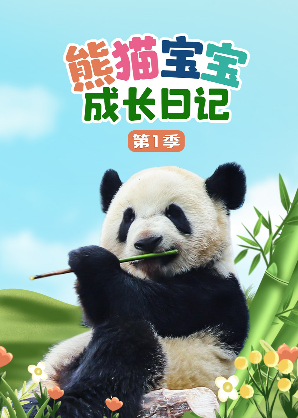 熊猫宝宝成长日记第一季}