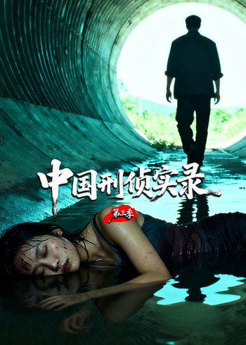 中国刑侦实录第三季}