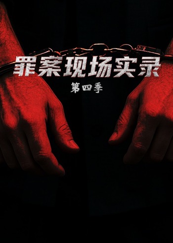 罪案现场实录第四季}