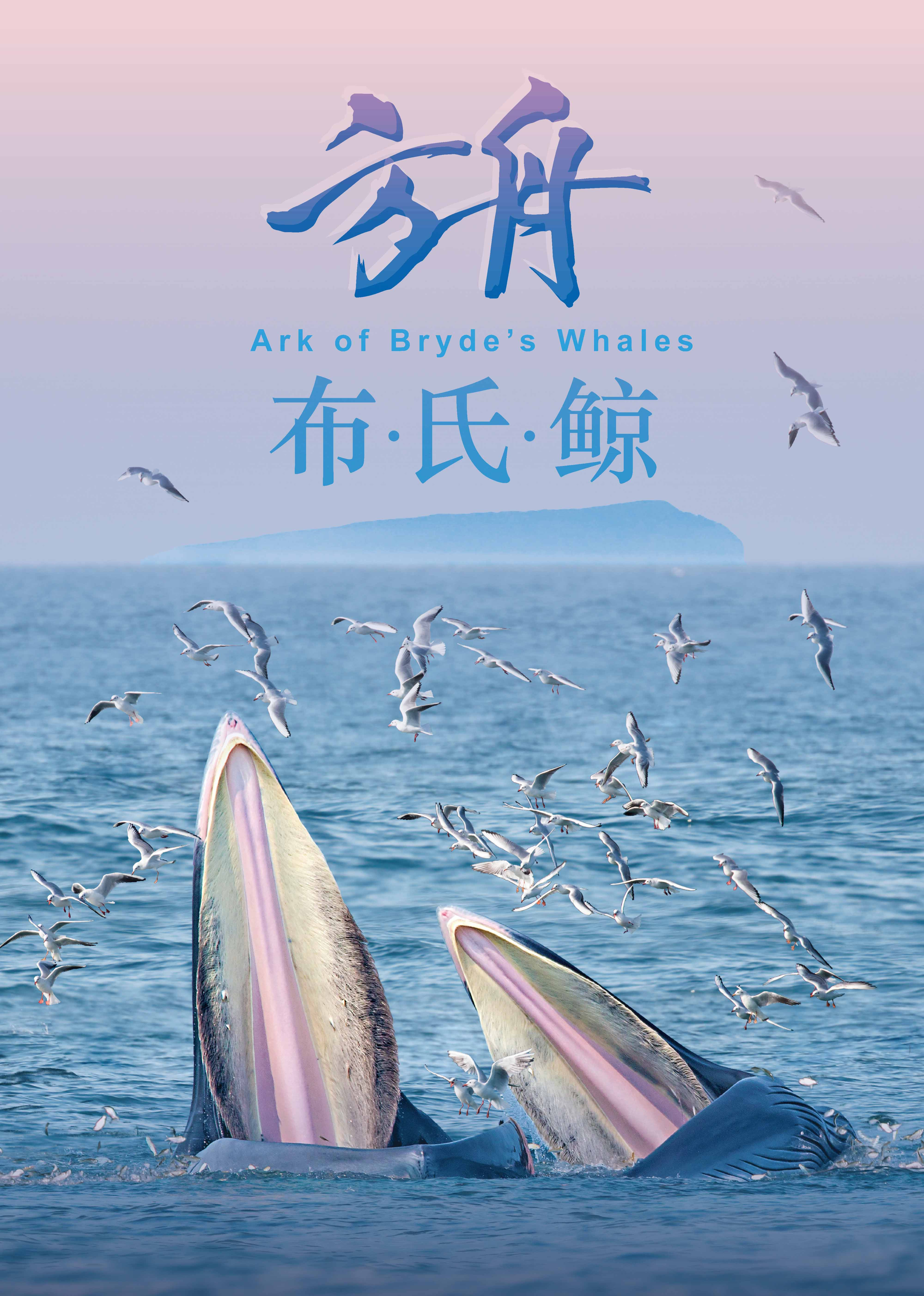 方舟布氏鲸}