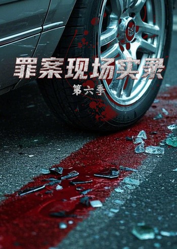 罪案现场实录第六季}