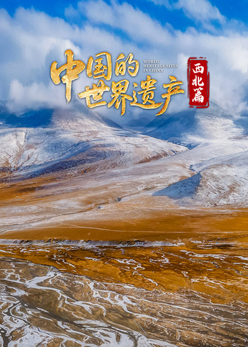 中国的世界遗产·西北篇}
