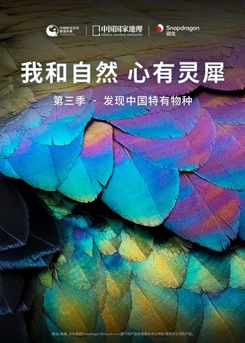 我和自然心有灵犀第三季：发现中国特有物种}