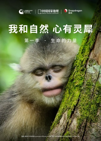 我和自然心有灵犀第一季：生命的力量}