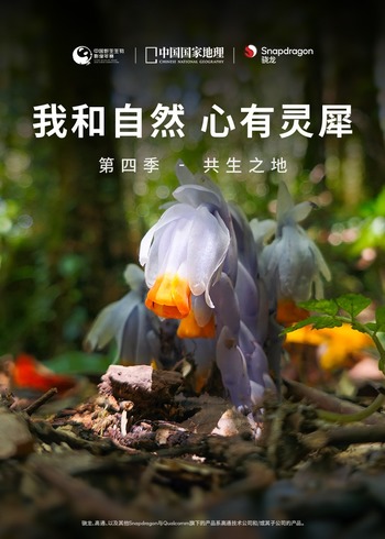我和自然心有灵犀第四季：共生之地}