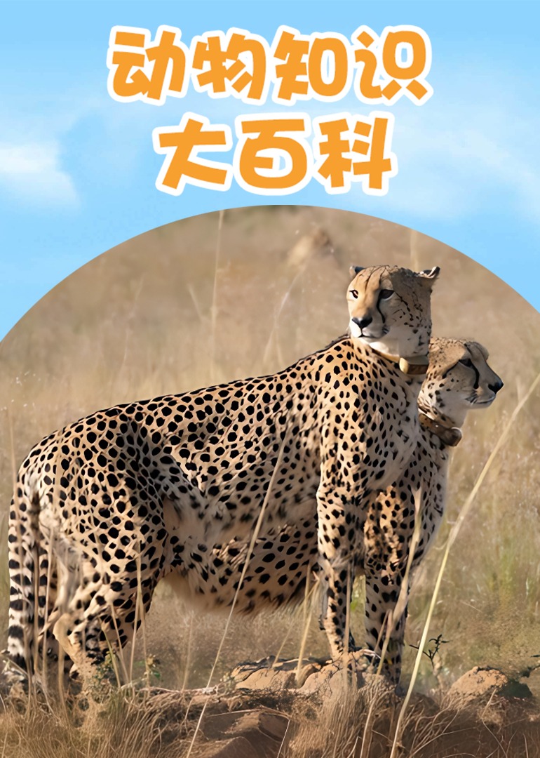 动物知识大百科}