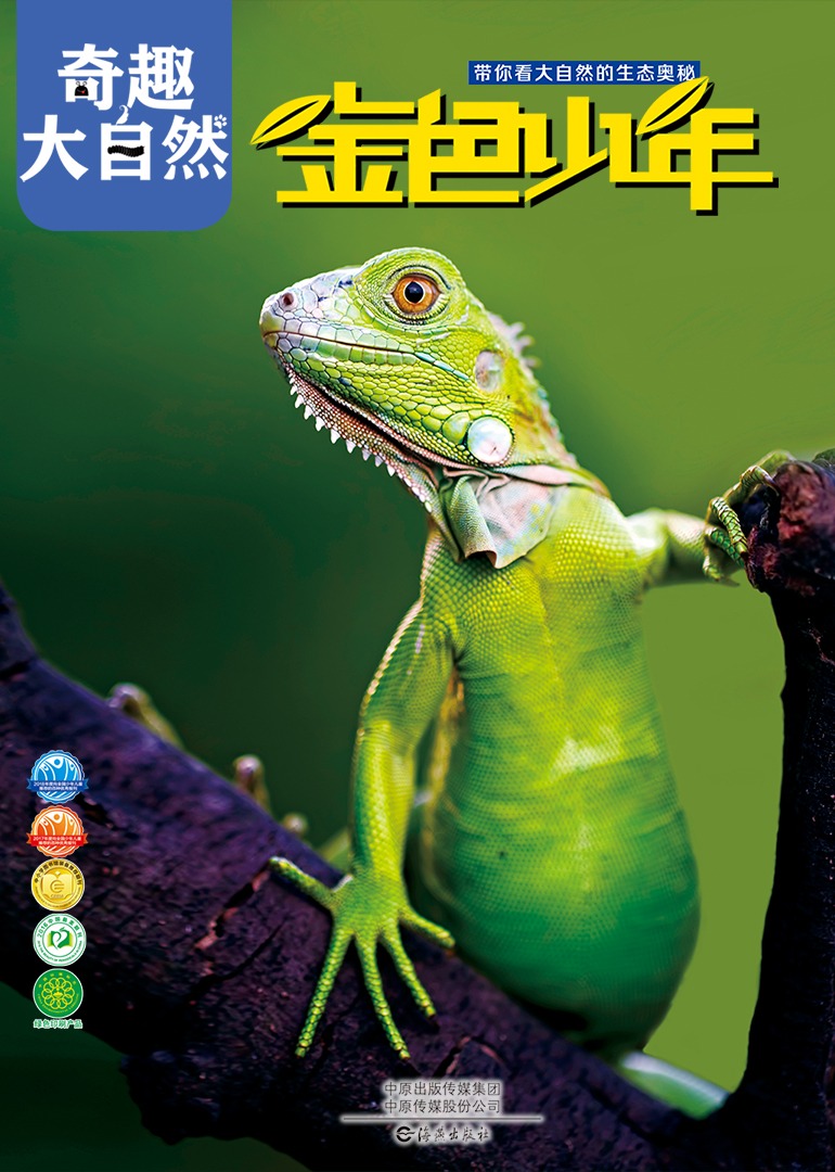 金色少年奇趣大自然}